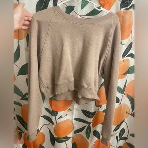 Aritzia sweatshirt